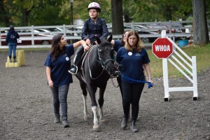 Our horse show